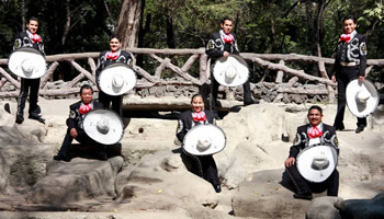 galeria de su mariachi