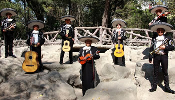 galeria de su mariachi